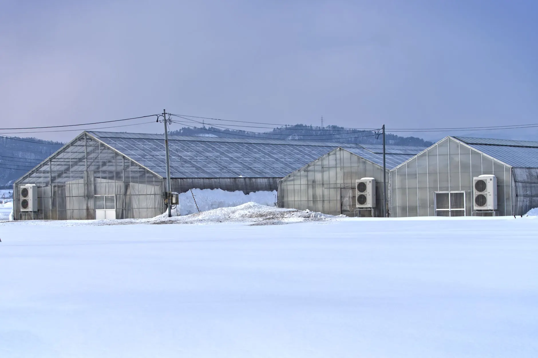 美容院服务流程诊断常见问题分析及整改方案设计思路